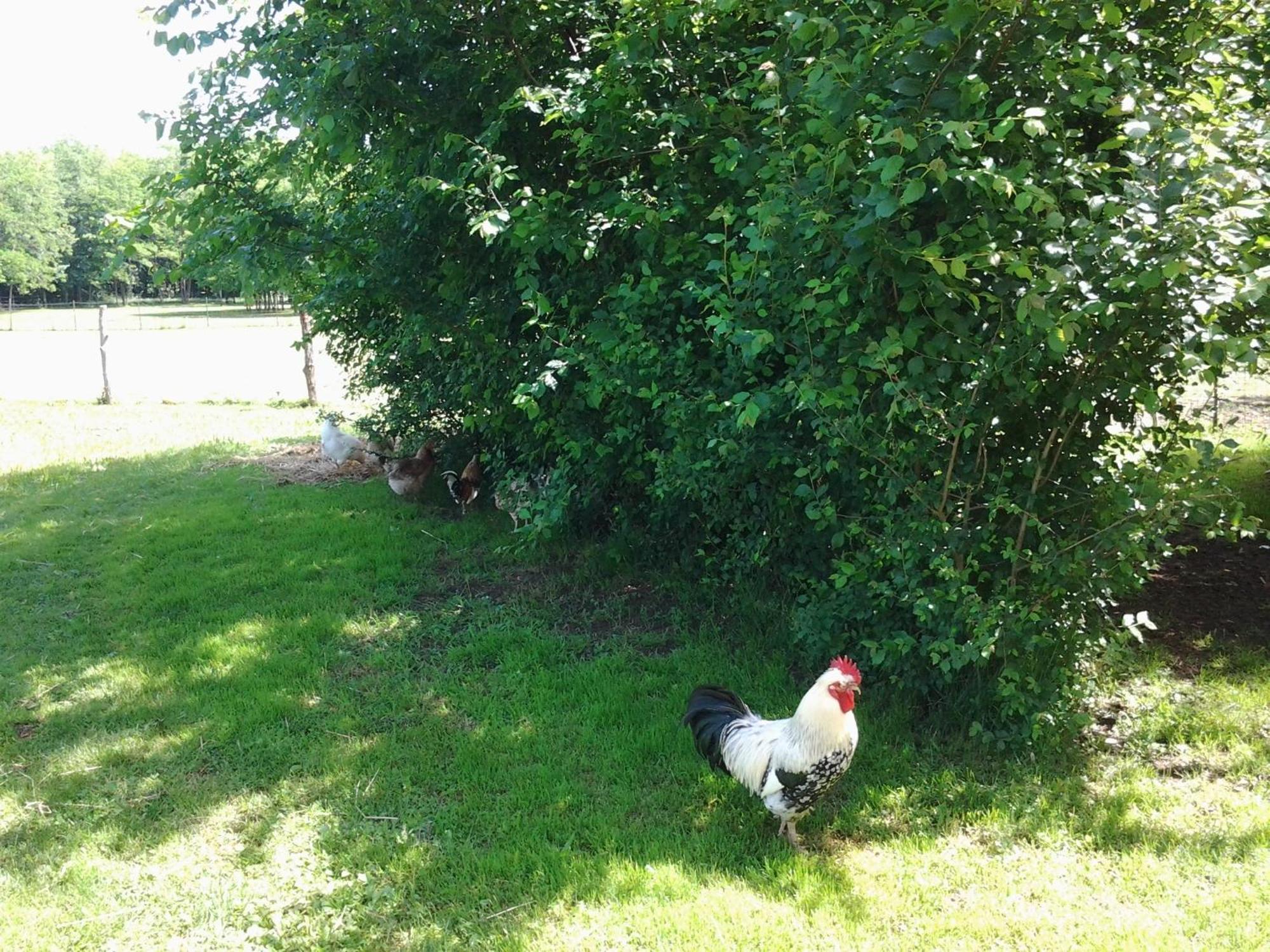 Farm stay Cascina Reciago Desenzano del Garda
